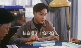 台湾爆料王菲视频,揭秘天后私生活与音乐幕后故事