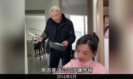 爆料娱乐圈间谍,幕后操控者的真实面目
