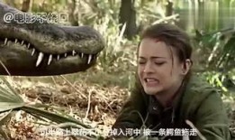 鳄鱼电影在线观看,在线惊悚之旅