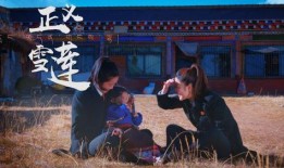 雪莲爆料原视频,揭秘原视频背后的惊人真相