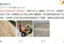 龙湖职场爆料视频曝光,揭秘职场内幕与真实面貌