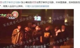 爆料娱乐圈间谍,幕后操控者的真实面目