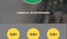 茶饮原料爆料流程视频讲解,从源头到消费者餐桌的透明之旅