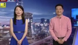 新闻爆料黄建革视频下载,揭秘背后真相