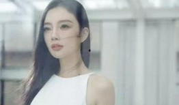 刘小姐深圳爆料事件视频,揭秘事件背后惊人真相