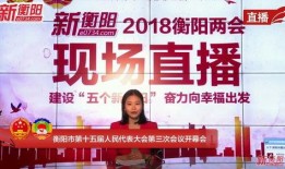 衡阳县新闻网爆料电话,揭露真相，共建和谐网络空间