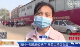 石家庄新闻爆料,突发事件引发关注，详情即将揭晓