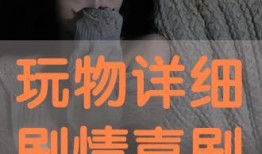 玩物在线观看,揭秘虚拟世界的奇幻之旅