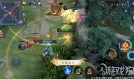 王者艾琳爆料视频大全集,揭秘游戏幕后故事与精彩瞬间