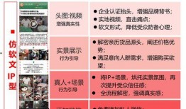 化妆品行业爆料视频文案,爆料视频背后的真相与反思